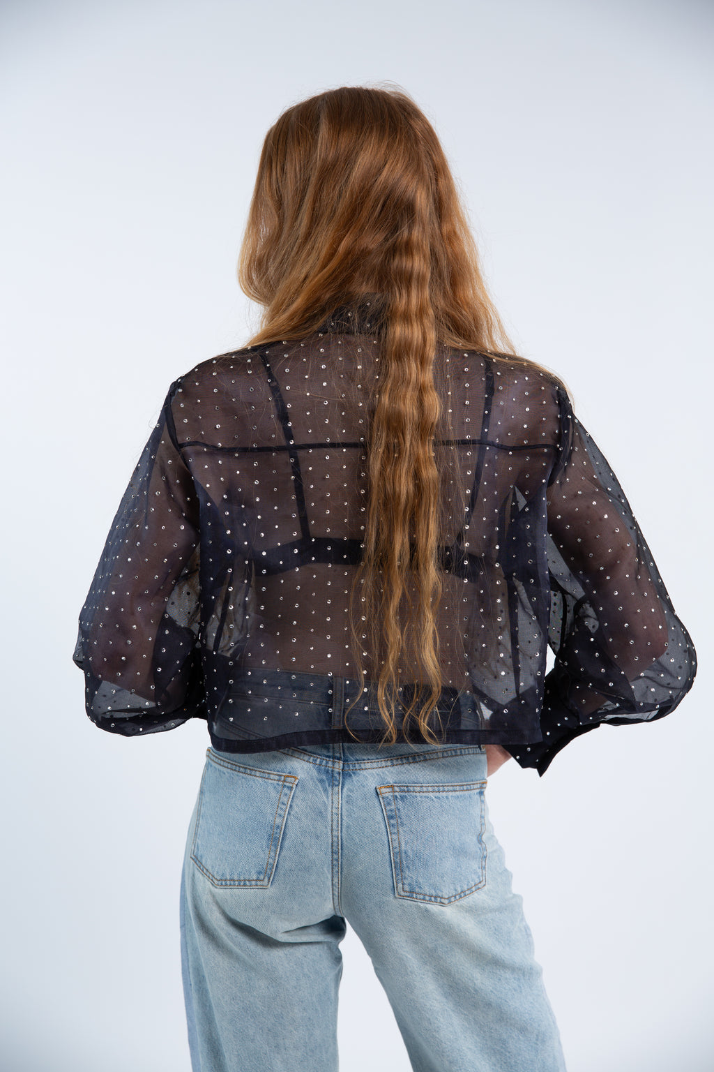 Organza silk blouse with rhinestones